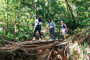 BIB: 
                            <button type="button" onclick="openModal(27717986)" class="btn btn-primary btn-sm float-right btn-popup" data-toggle="modal" data-target=".modal-high-quality">
                        <i class="fas fa-shopping-cart"></i> Add to Cart
                    </button>
                                            <button type="button" onclick="isThisMe(27717986, true)" class="btn btn-success btn-sm float-right btn-popup btn-isme hidden" data-toggle="tooltip" data-placement="bottom" title="นี่คือรูปของคุณใช่ไหม คลิกที่นี่เพื่อเอาเข้าอัลบั้ม">
                        <i class="fas fa-plus"></i> Add to album
                    </button>
                    <button type="button" onclick="isThisMe(27717986, false)" class="btn btn-warning btn-sm float-right btn-popup btn-isnotme hidden">
                        <i class="fas fa-ban"></i> Remove from album
                    </button>